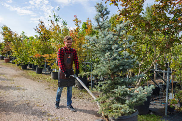 Best Tree Risk Assessment  in USA